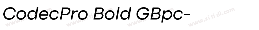 CodecPro Bold GBpc字体转换